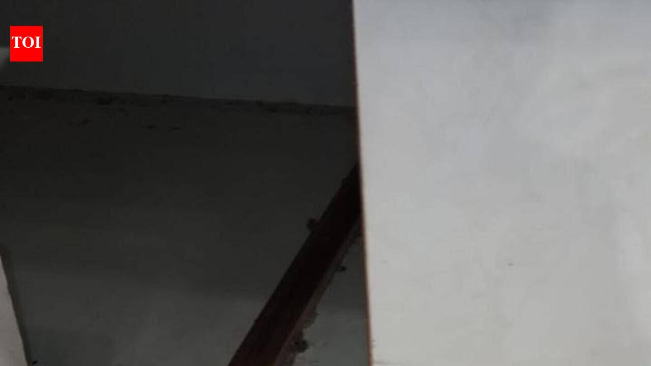 Video of rat moving in gulab jamun container triggers FDA action against Bhiwandi sweet shop in Mumbai