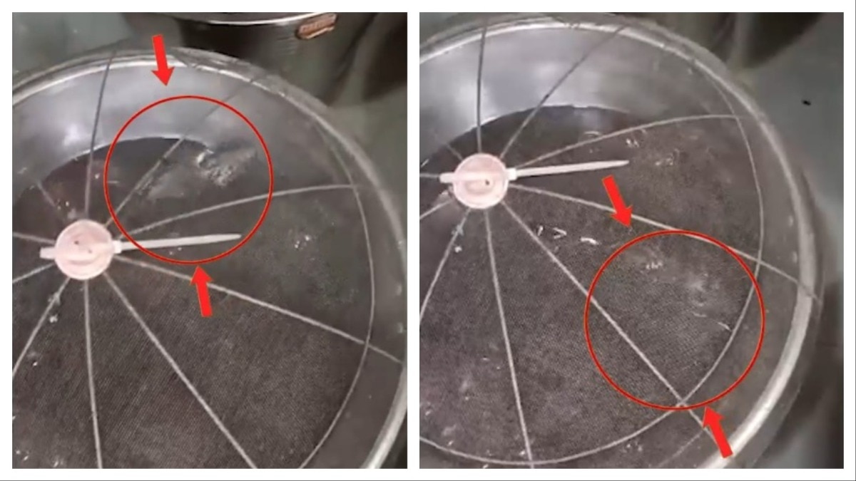 Video: Live rat in gulaab jamuns at Maharashtra shop triggers outrage, FDA action
