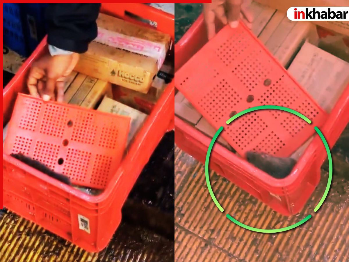 बच्चों की फेवरेट आइसक्रीम के बीच चूहे की उछल-कूद, वायरल Video ने खोल दी क्विक-डिलिवरी सर्विसेस की पोल
