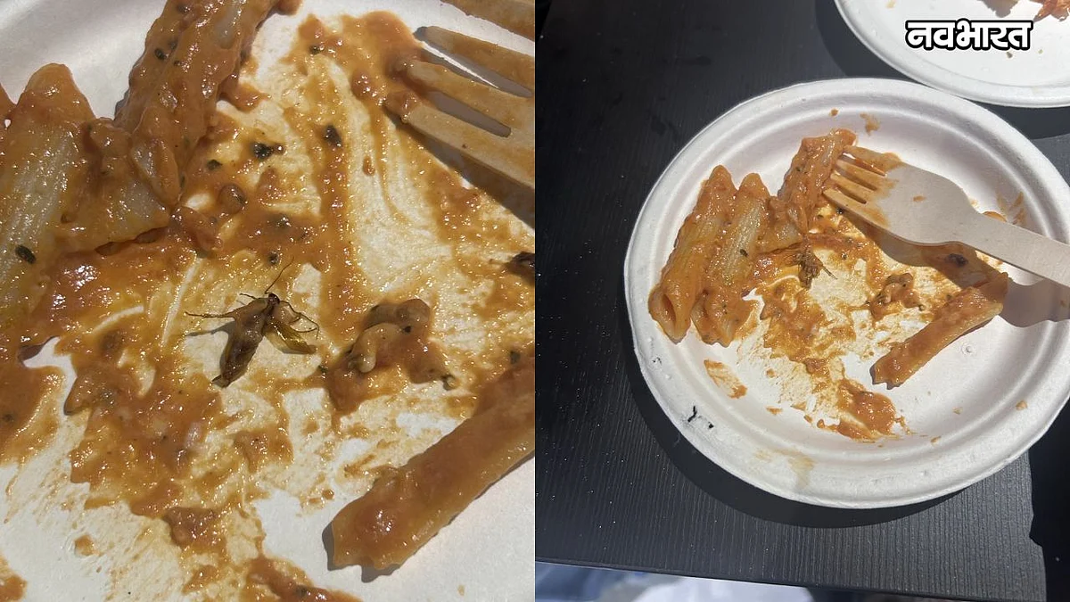 Mumbai Kids Play Zone Cockroach: मुंबई के लोअर परेल में किड्स प्ले ज़ोन में पास्ता में मरा कॉकरोच मिलने से हड़कंप