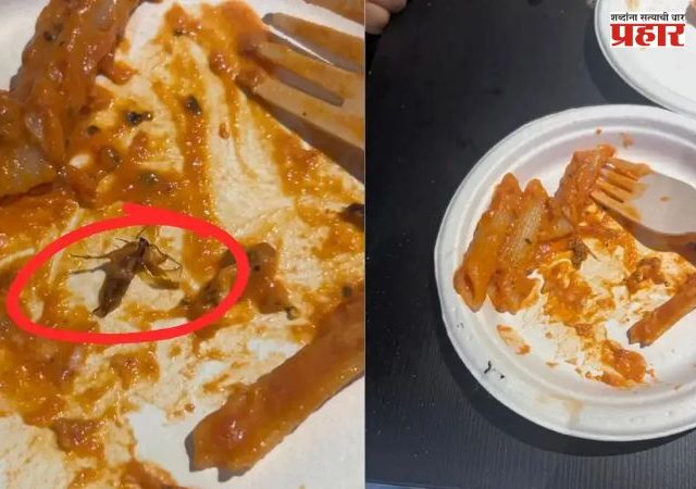 Cockroach found in pasta stir at a popular play zone in Lower Parel, video goes viral