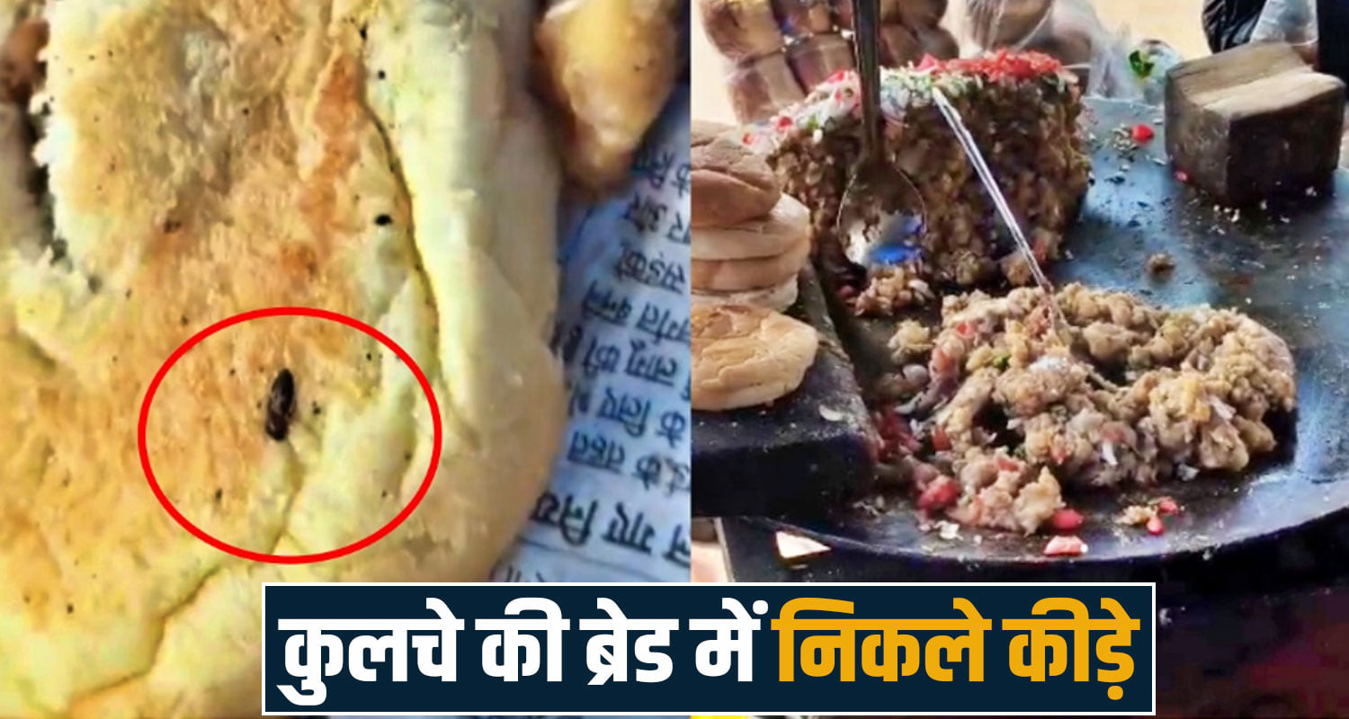 Himachal: Worms found in kulcha bread, customer anger and concern after viral video