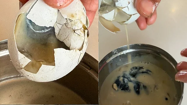 Rotten Eggs Delivered Via Swiggy Instamart? Viral Post Sparks Food Safety Debate