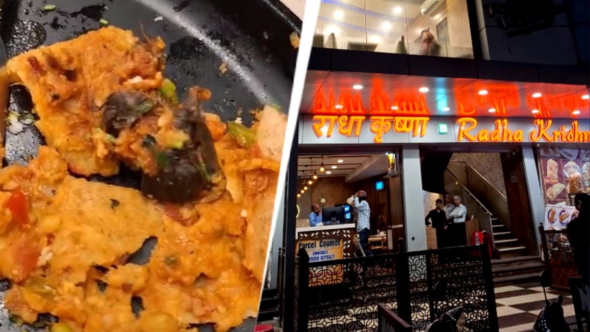 Borivali hotel dosa rat case: FDA suspends Radhakrishna Hotel licence