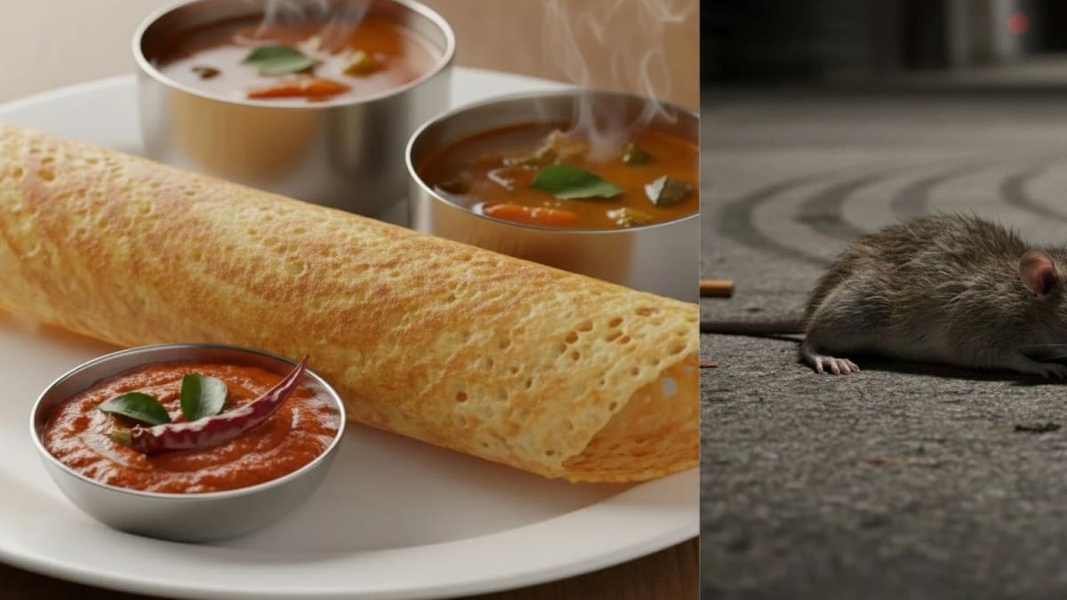 Viral rat-in-dosa video from Mumbai’s Borivali now linked to alleged extortion bid