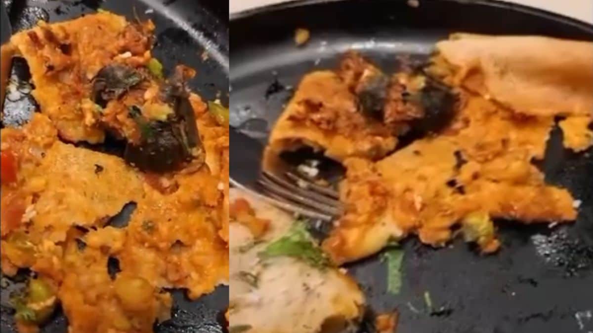 Mumbai ‘rat in dosa’ case: Did FDA suspend restaurant based on woman’s ploy to extort ₹25 lakh?